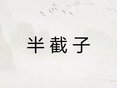 半截子