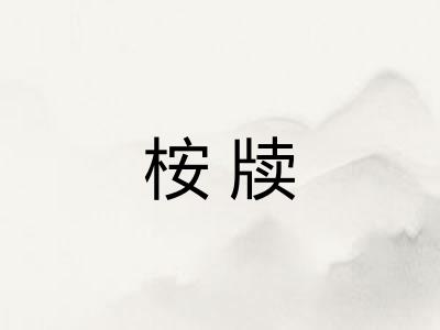 桉牍