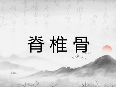 脊椎骨