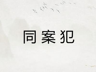 同案犯