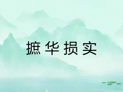 摭华损实