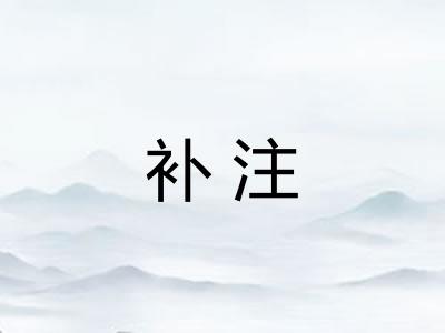 补注