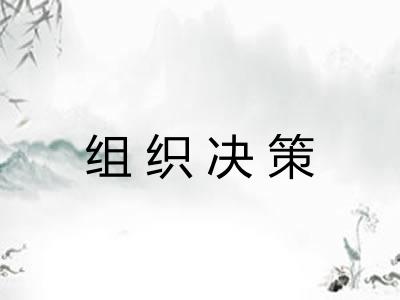 组织决策