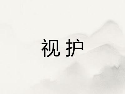视护