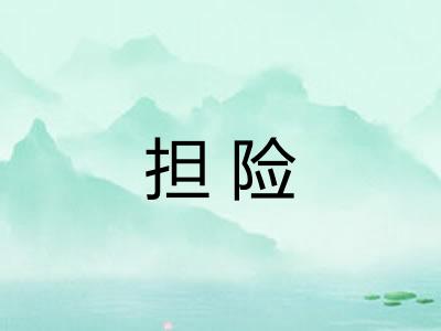 担险