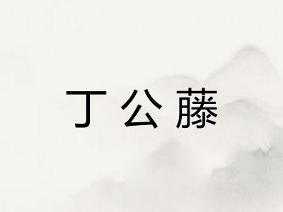 丁公藤
