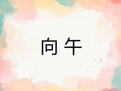 向午