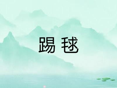 踢毬