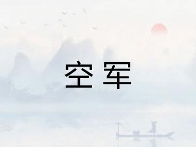 空军
