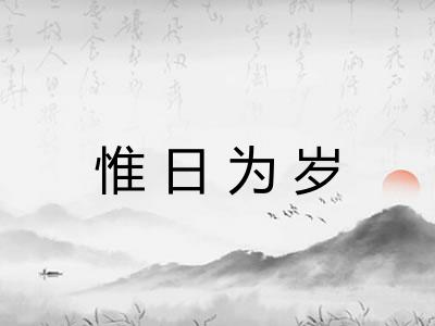 惟日为岁