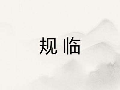 规临