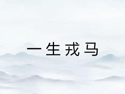 一生戎马