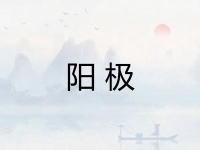 阳极