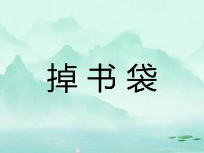 掉书袋