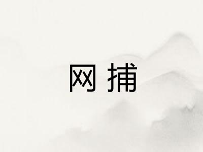 网捕