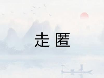 走匿