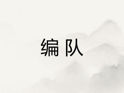 编队