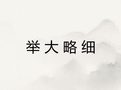 举大略细