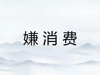 嫌消费