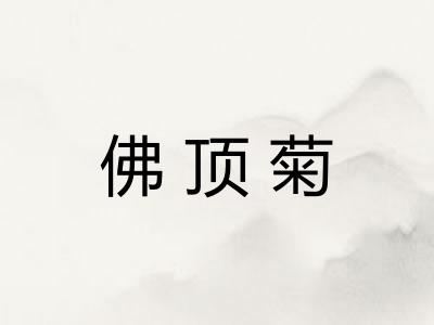 佛顶菊