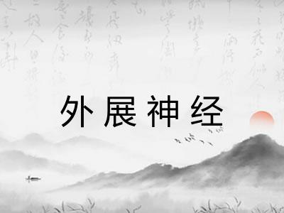 外展神经