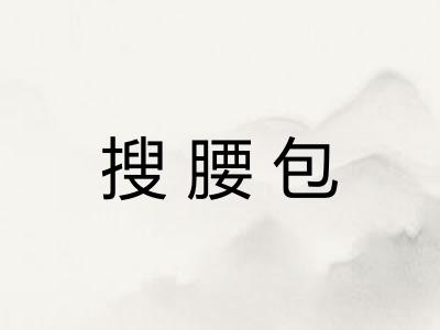 搜腰包