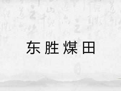 东胜煤田