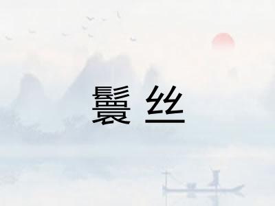 鬟丝