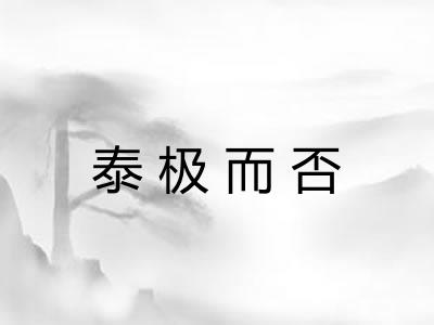 泰极而否