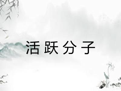 活跃分子