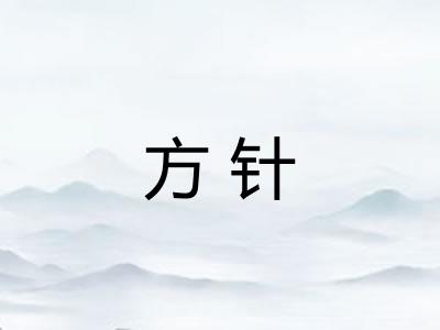 方针