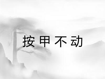 按甲不动