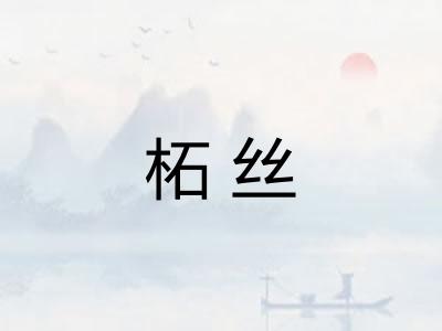 柘丝