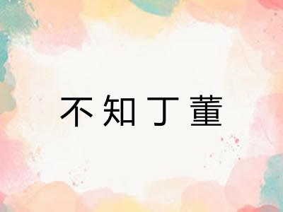 不知丁董