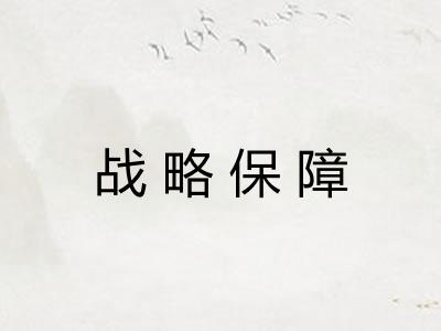 战略保障