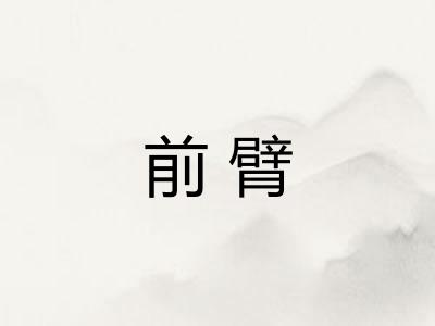 前臂