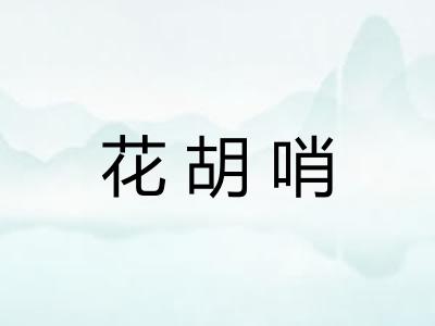 花胡哨