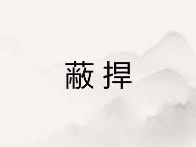 蔽捍