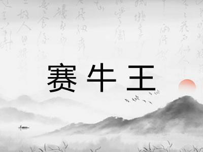 赛牛王