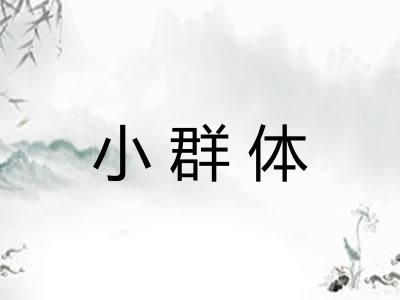 小群体