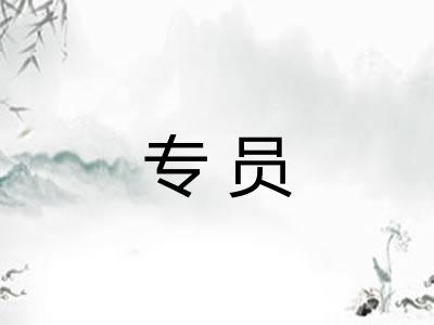 专员