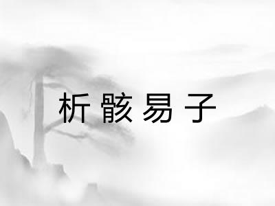 析骸易子