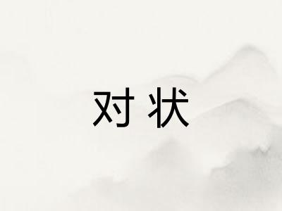 对状