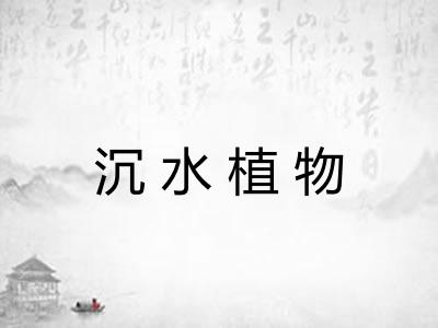 沉水植物