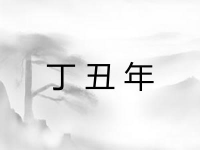 丁丑年