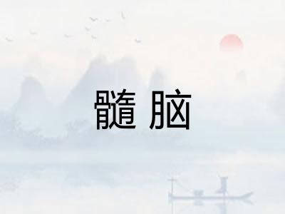 髓脑