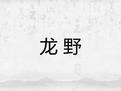 龙野