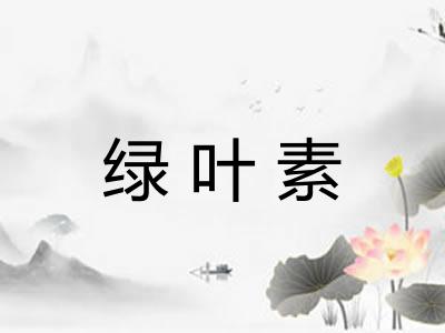 绿叶素