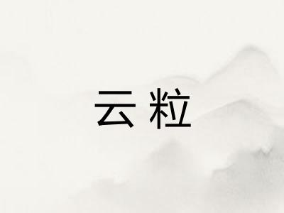 云粒