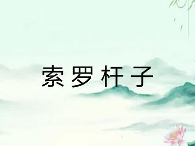 索罗杆子